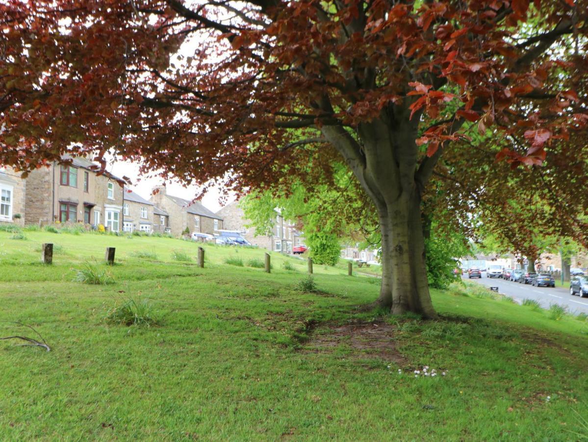 Langlands Villa Barnard Castle Luaran gambar